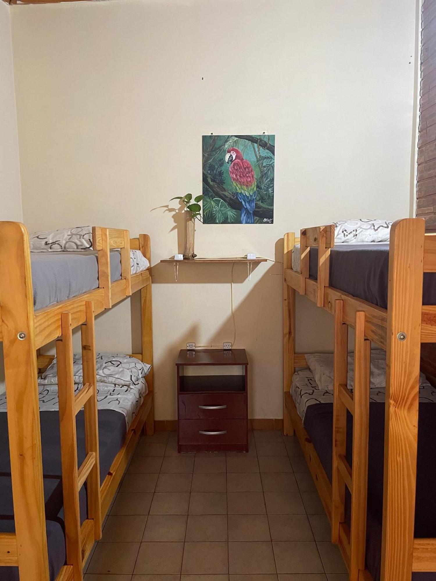 Bungalow Hostel Iguazu Пуерто Игуасу Екстериор снимка