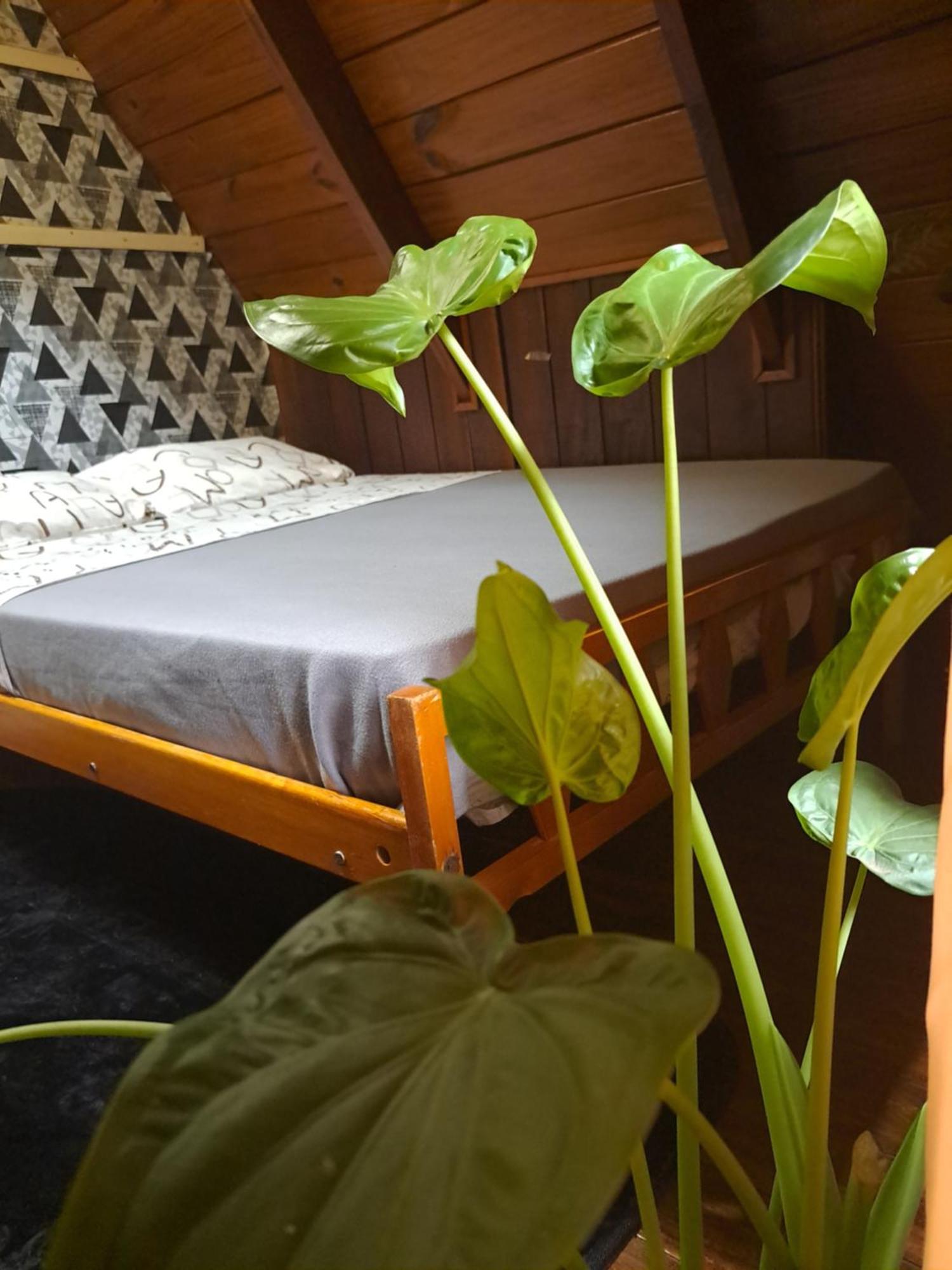Bungalow Hostel Iguazu Пуерто Игуасу Екстериор снимка